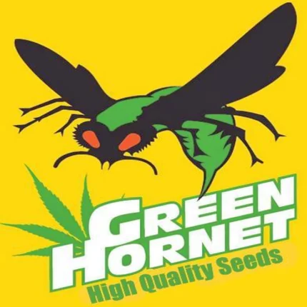 Green Hornet Seeds