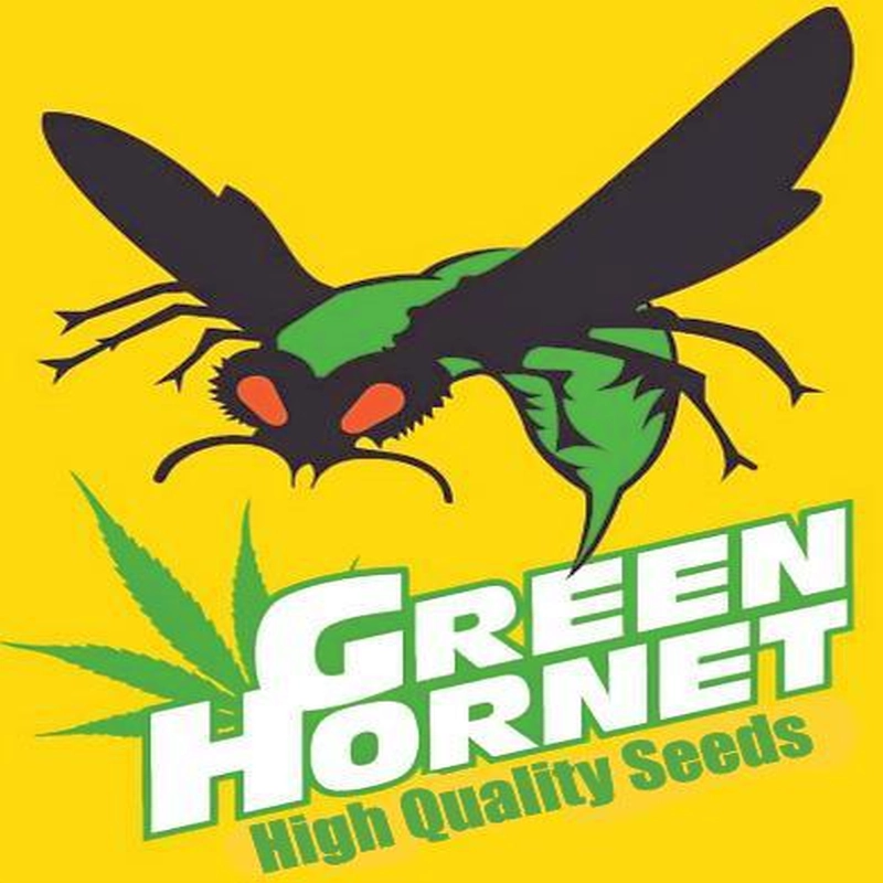 The company logo of Green Hornet Seeds shows a green hornet above a lettering